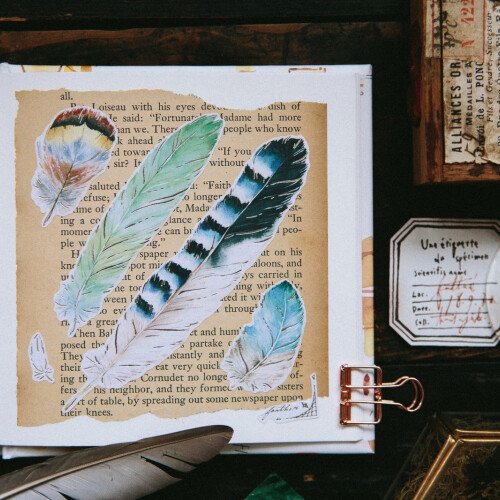 Feather 自剪貼紙