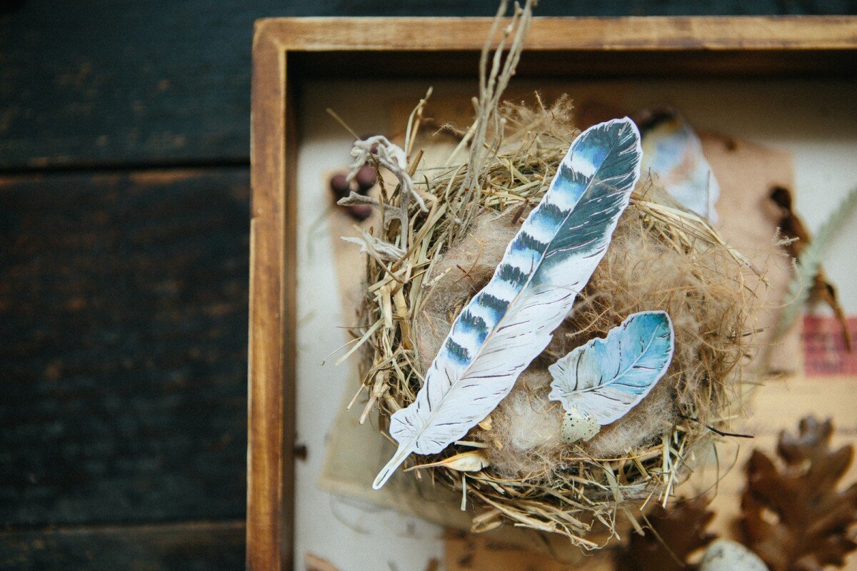 Feather 自剪貼紙