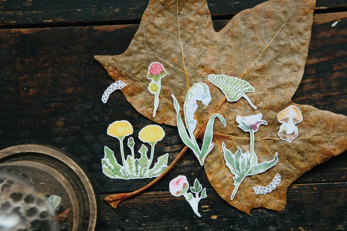 Plants Sticker Paper