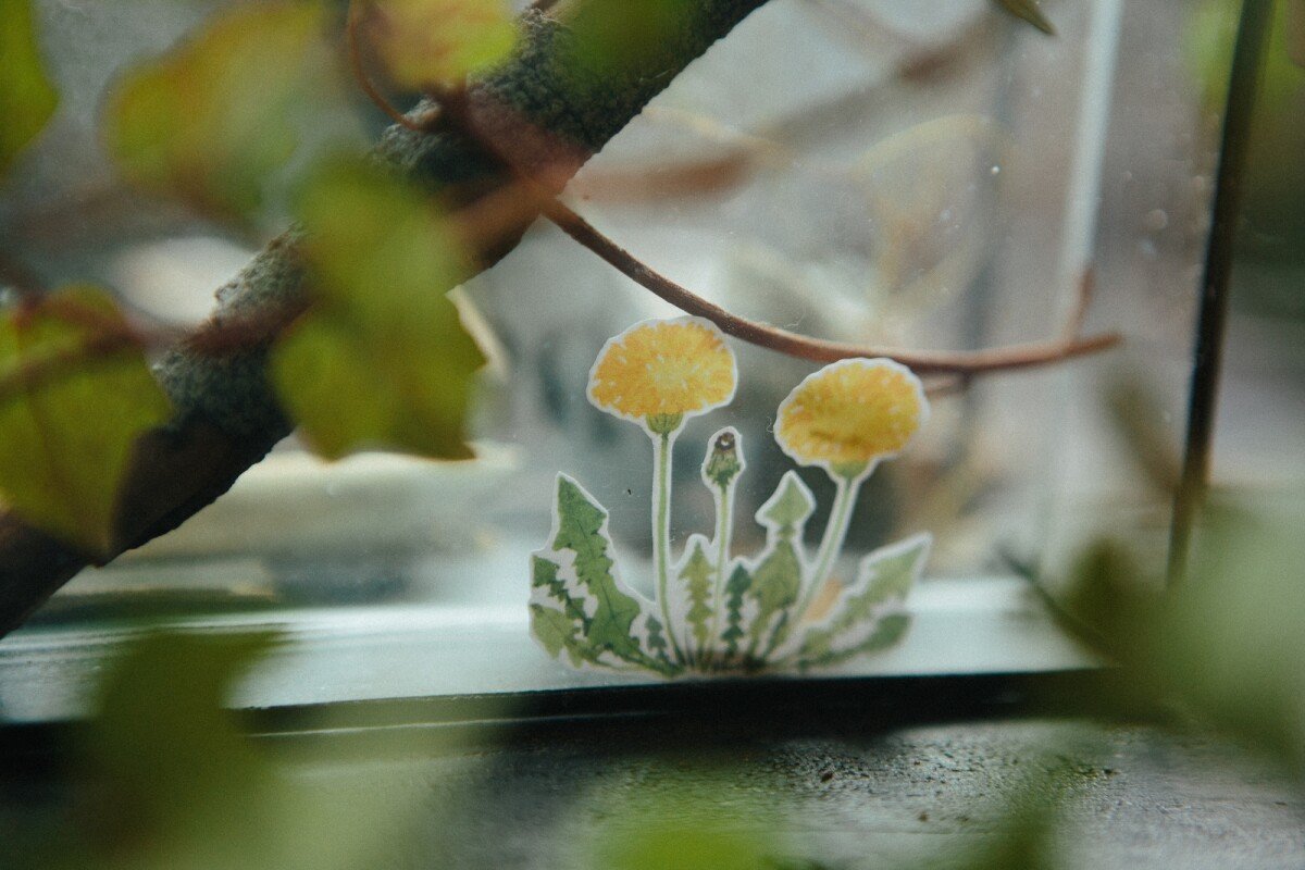 Plants Sticker Paper