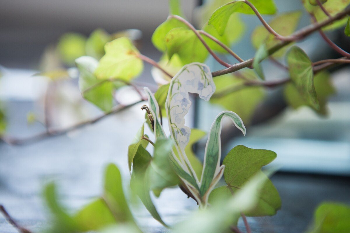 Plants Sticker Paper