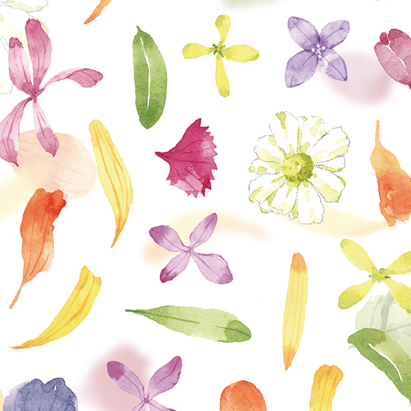 Flowers MIJ Washi Sticker